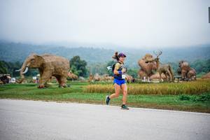 BIB: 
                            <button type="button" onclick="openModal(22406247)" class="btn btn-primary btn-sm float-right btn-popup" data-toggle="modal" data-target=".modal-high-quality">
                        <i class="fas fa-shopping-cart"></i> Add to Cart
                    </button>
                                            <button type="button" onclick="isThisMe(22406247, true)" class="btn btn-success btn-sm float-right btn-popup btn-isme hidden" data-toggle="tooltip" data-placement="bottom" title="นี่คือรูปของคุณใช่ไหม คลิกที่นี่เพื่อเอาเข้าอัลบั้ม">
                        <i class="fas fa-plus"></i> Add to album
                    </button>
                    <button type="button" onclick="isThisMe(22406247, false)" class="btn btn-warning btn-sm float-right btn-popup btn-isnotme hidden">
                        <i class="fas fa-ban"></i> Remove from album
                    </button>